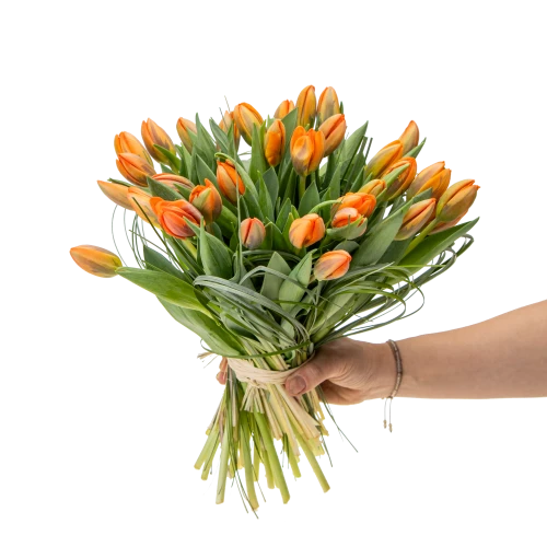 Kytice  tulipánů